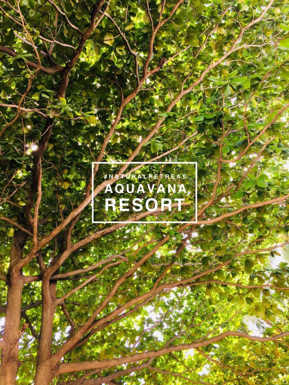 Aquavana Haad Rin Resort Extérieur photo